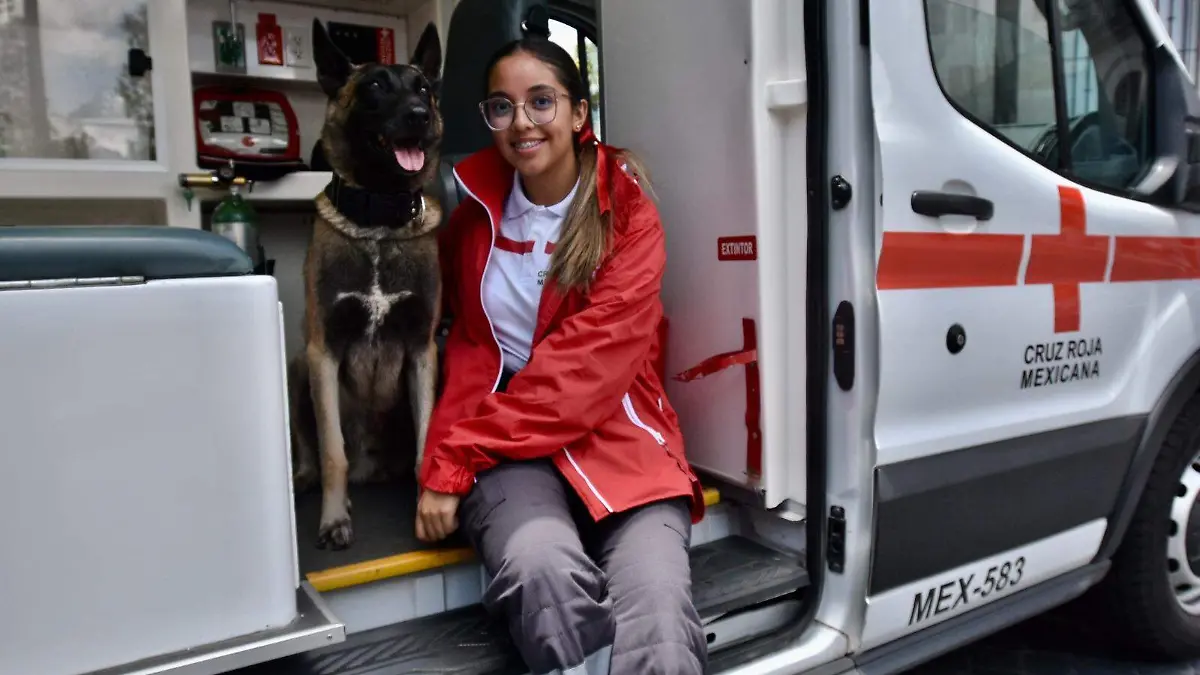 cruzroja perros